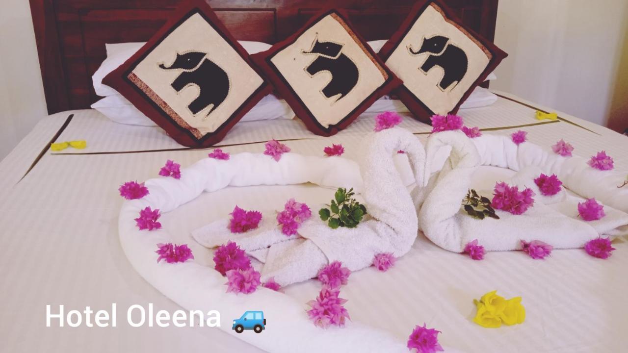 Oleena Home Stay Habarana Exterior photo