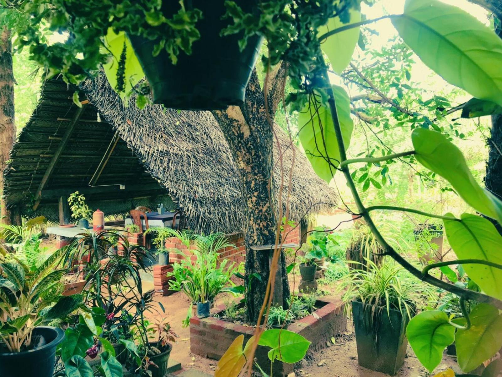 Oleena Home Stay Habarana Exterior photo
